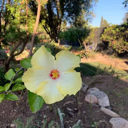 Дом отдыха Lidia *