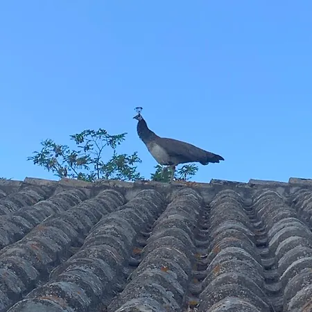 Lidia Сasa de vacaciones *